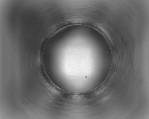 X0000075400261200609251026