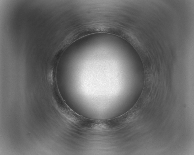 X0000075400262200609251026