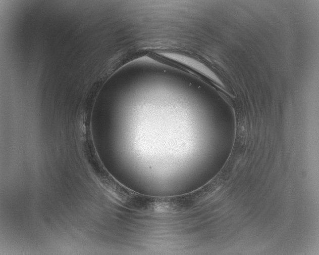 X0000075400264200609251026