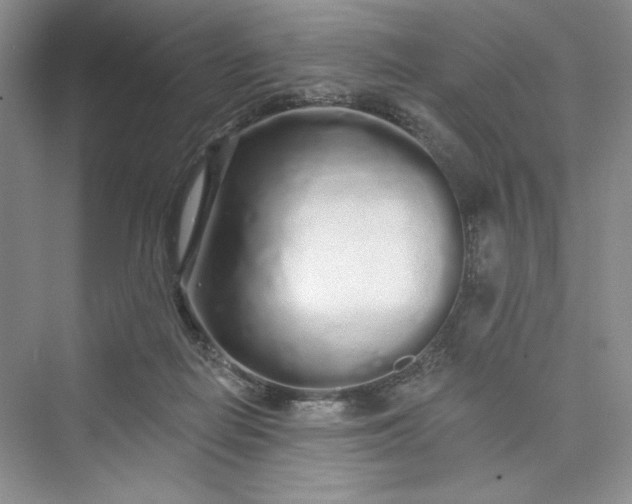 X0000075400266200609251026