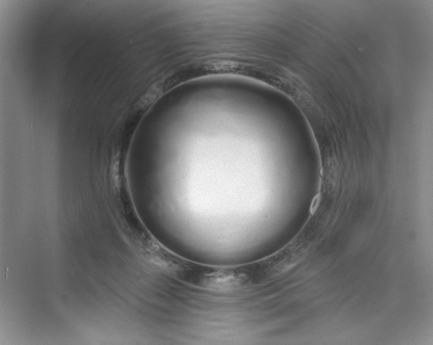 X0000075400267200609251026