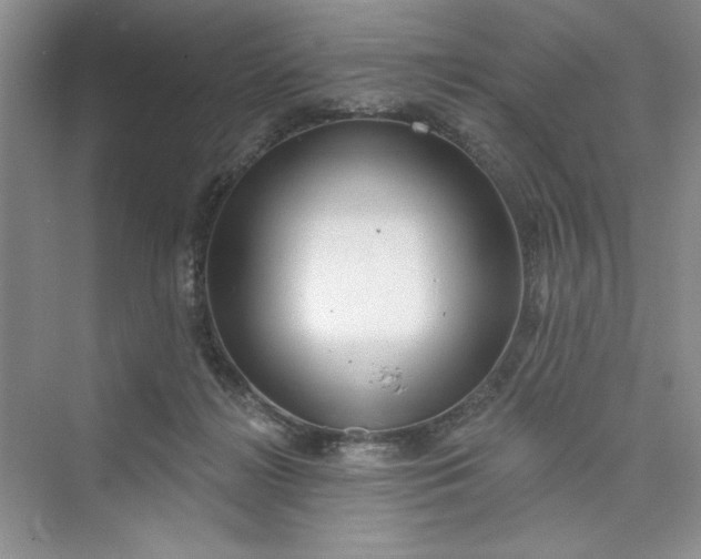 X0000075400268200609251026