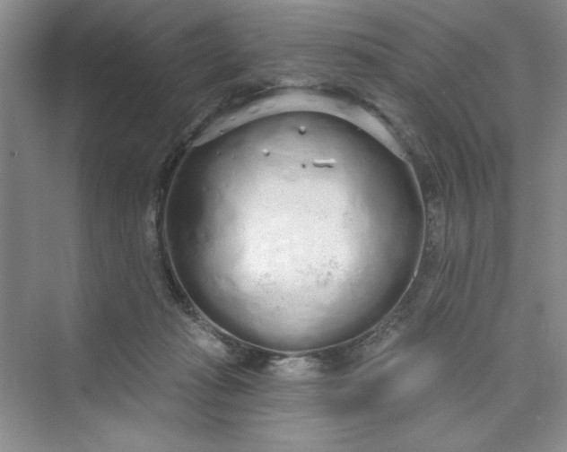 X0000075400269200609251026