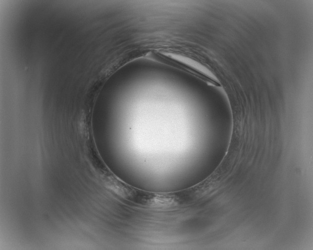 X0000075400270200609251026