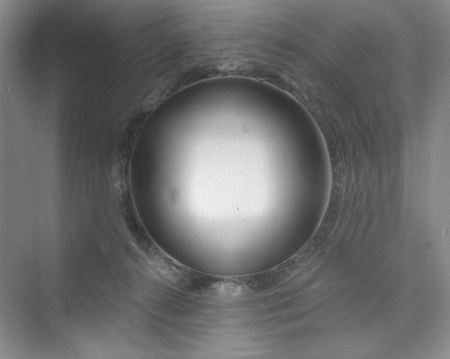 X0000075400272200609251026