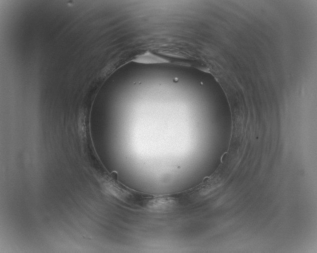 X0000075400274200609251026