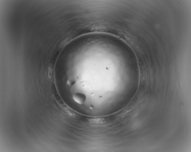 X0000075400281200609251026