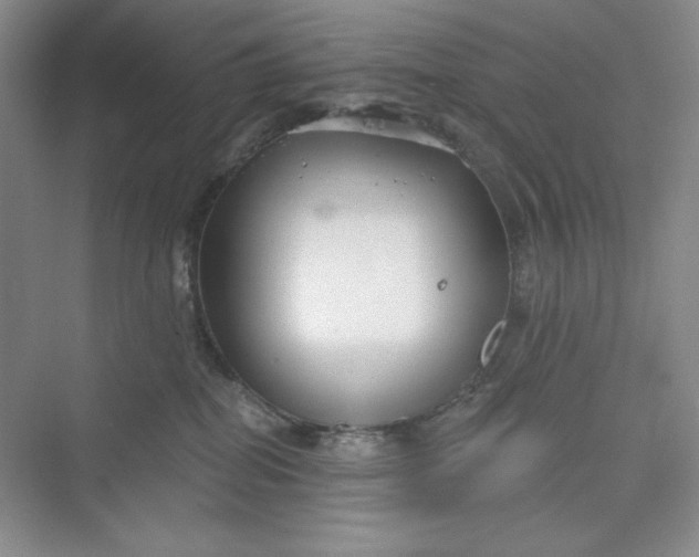 X0000075400282200609251026