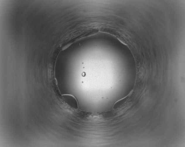 X0000075400283200609251026