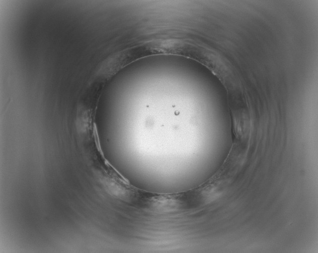 X0000075400284200609251026