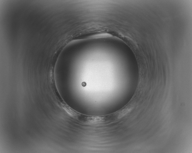 X0000075400288200609251026