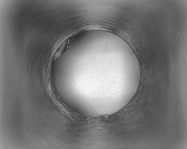 X0000075400289200609251025