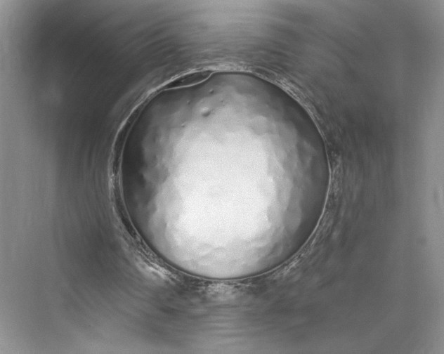 X0000075400290200609251025