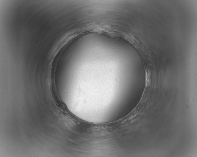 X0000075400291200609251025