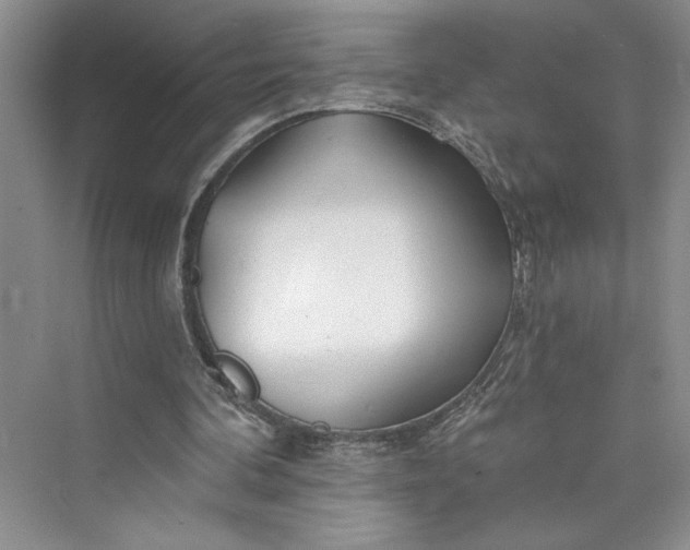 X0000075400292200609251025