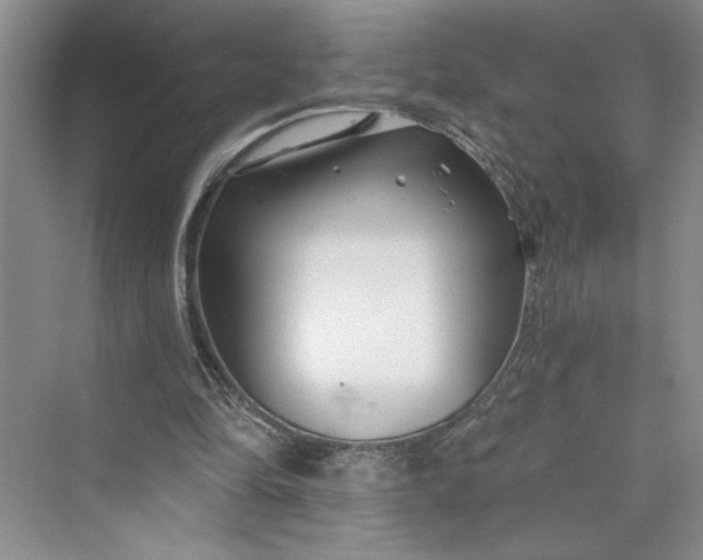 X0000075400294200609251025