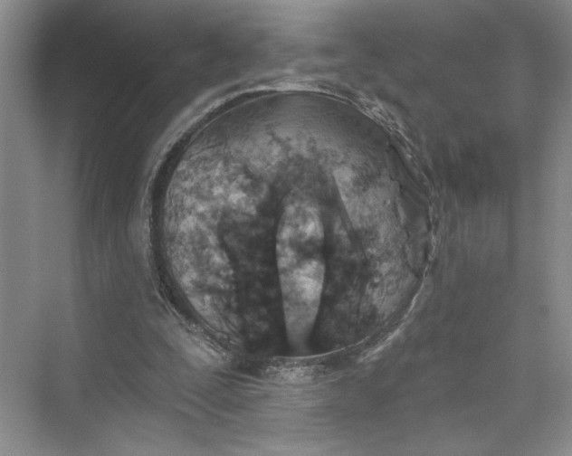 X0000075400295200609251025