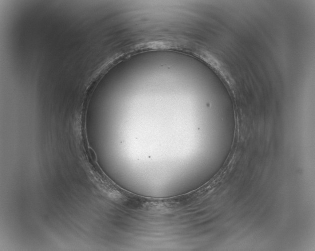 X0000075400297200609251025