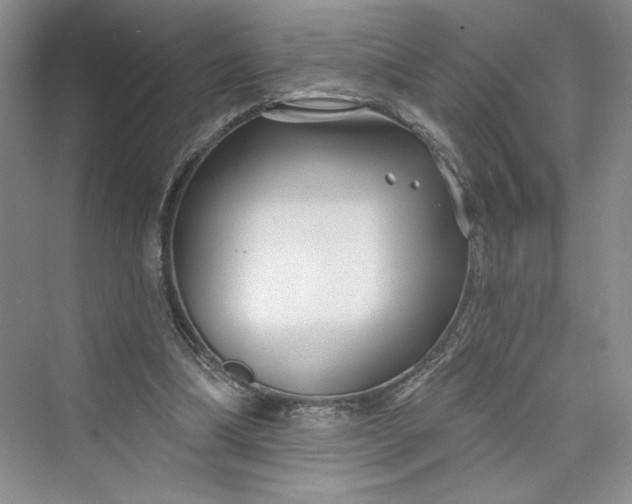 X0000075400298200609251025