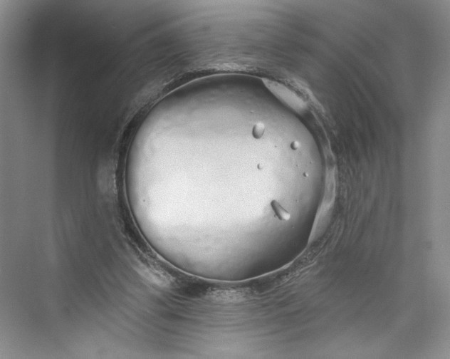 X0000075400299200609251025