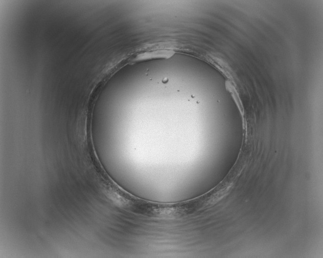 X0000075400301200609251025