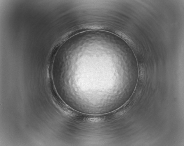 X0000075400302200609251025