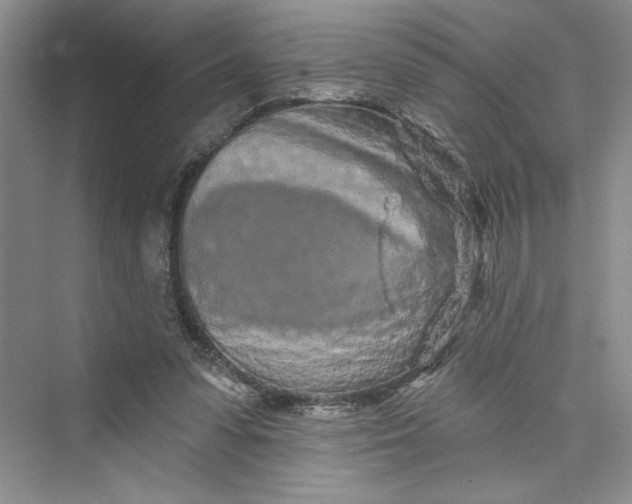 X0000075400303200609251025