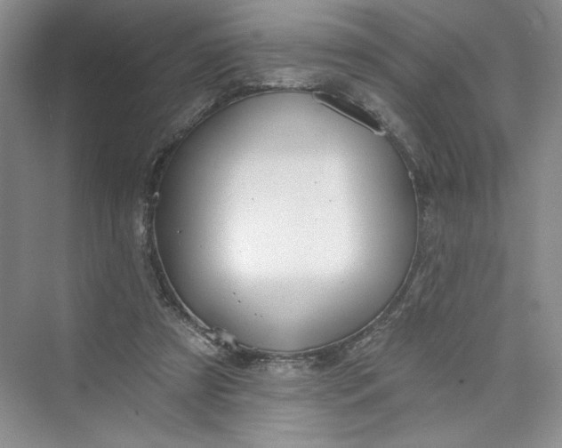 X0000075400305200609251025