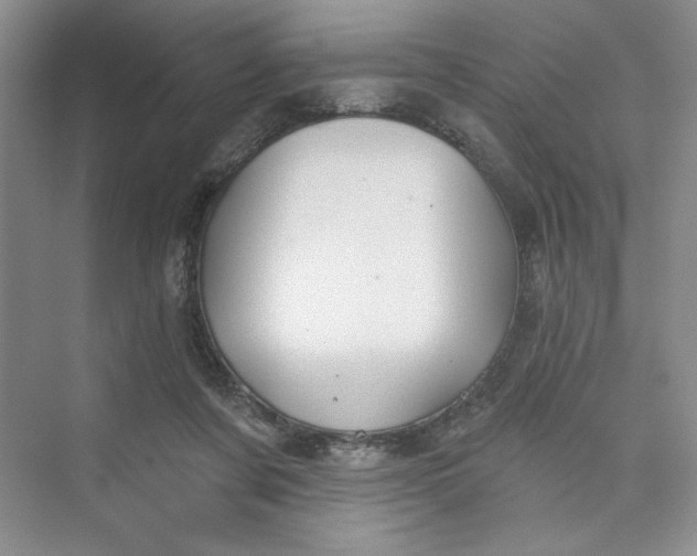 X0000075400311200609251025