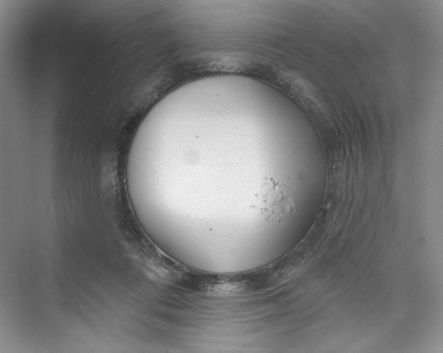 X0000075400312200609251025