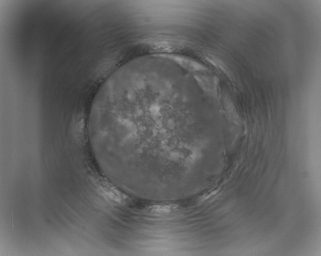 X0000075400314200609251025