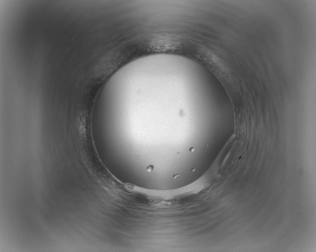 X0000075400315200609251025