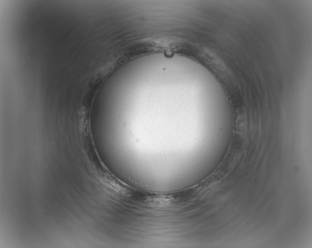 X0000075400318200609251025