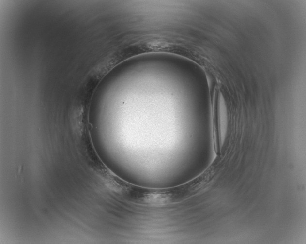 X0000075400319200609251025