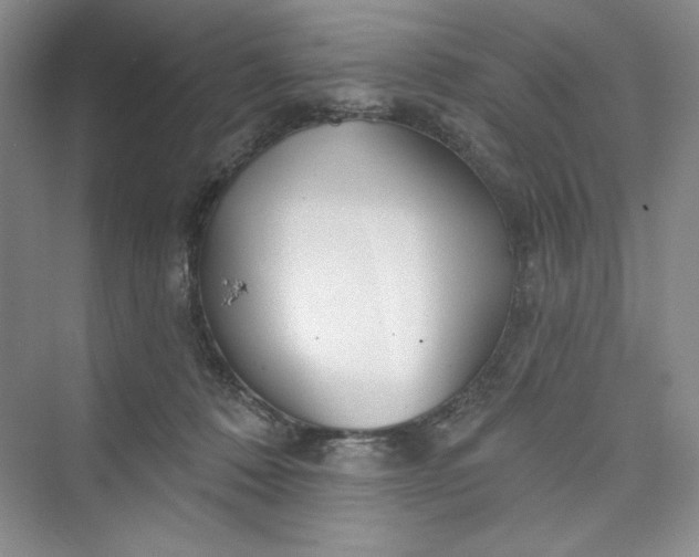 X0000075400320200609251025