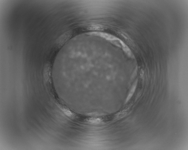 X0000075400322200609251025