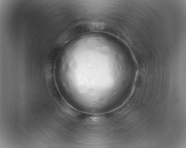 X0000075400323200609251025