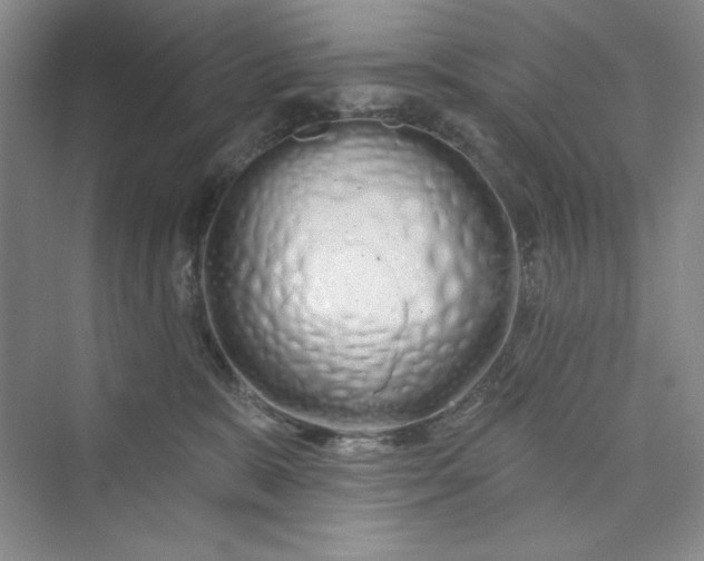 X0000075400327200609251025