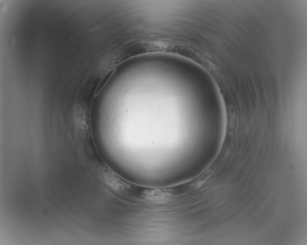 X0000075400331200609251025