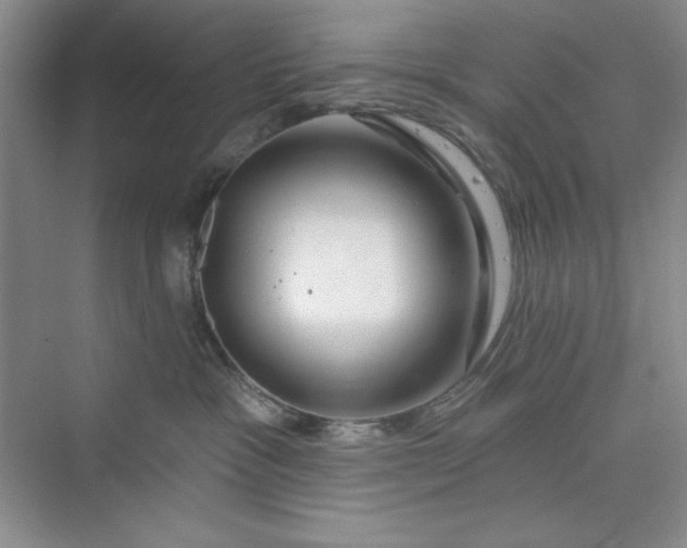 X0000075400333200609251025