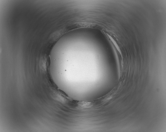 X0000075400334200609251025