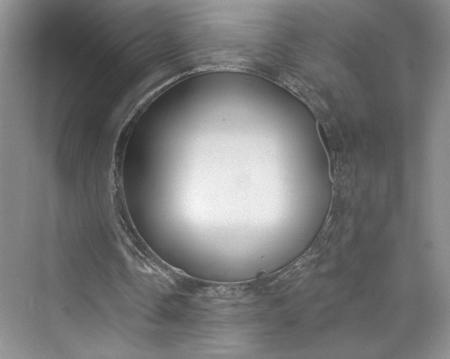 X0000075400338200609251024