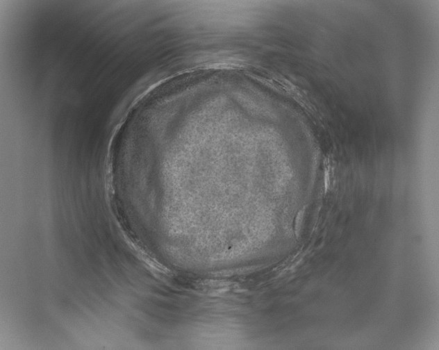 X0000075400339200609251024