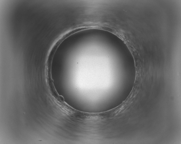 X0000075400342200609251024