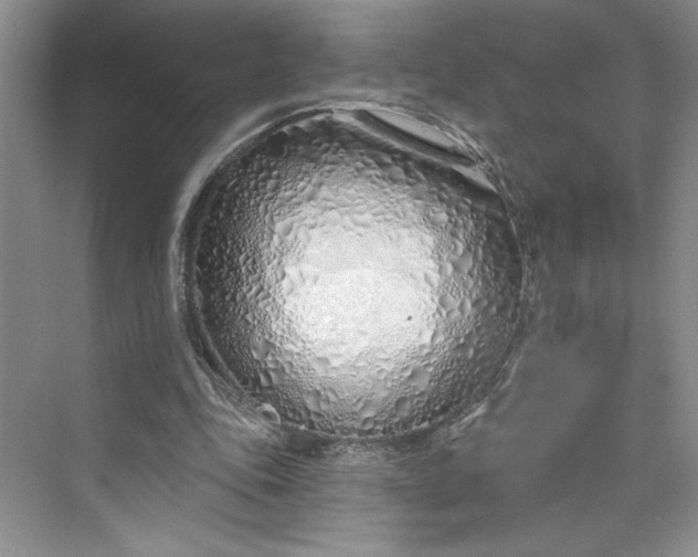 X0000075400343200609251024