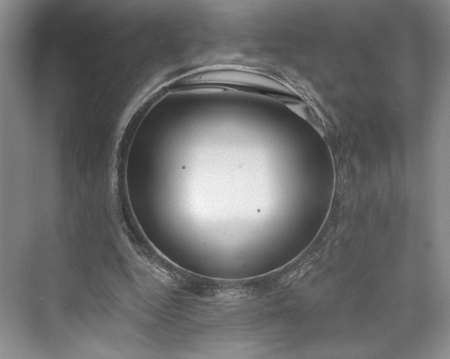 X0000075400344200609251024