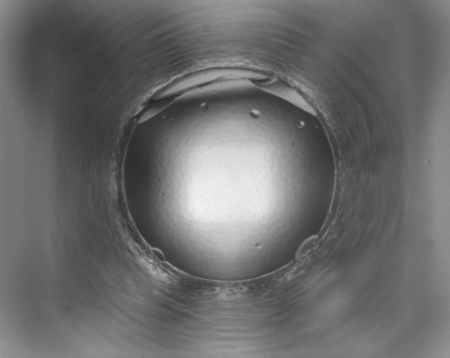 X0000075400345200609251024