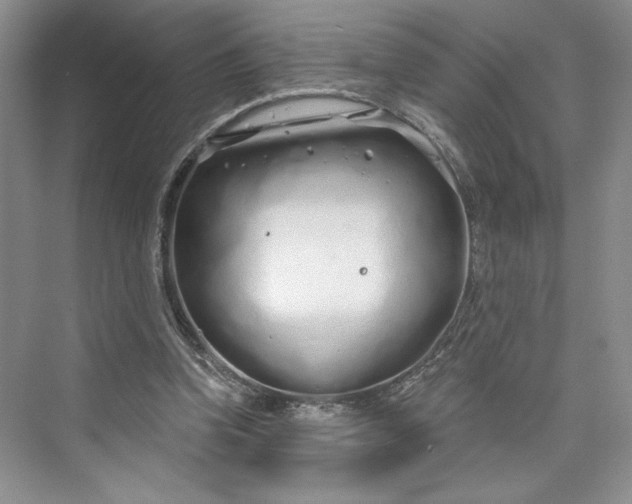 X0000075400346200609251024