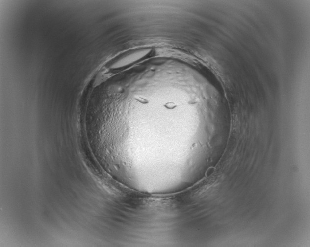 X0000075400347200609251024