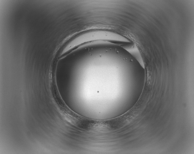 X0000075400348200609251024